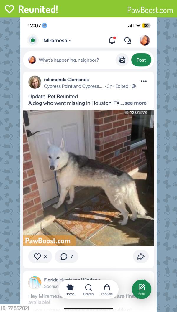 Reunited Male Dog last seen Marvida , Mira mesa, Houston, TX 77433