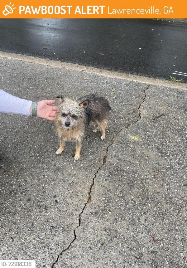 Found/Stray Unknown Dog last seen Kings cir, Lawrenceville, GA 30044