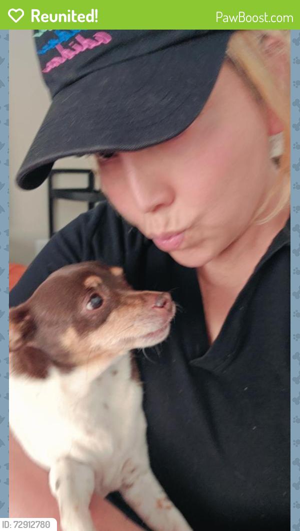 Reunited Female Dog last seen Sunny Acres & Bruce St, North Las Vegas, NV 89081