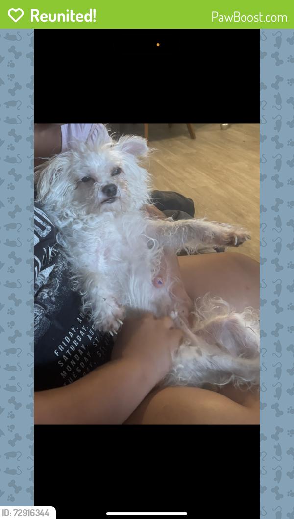 Reunited Male Dog last seen Candelaria between San Mateo and San Pedro, Albuquerque, NM 87110