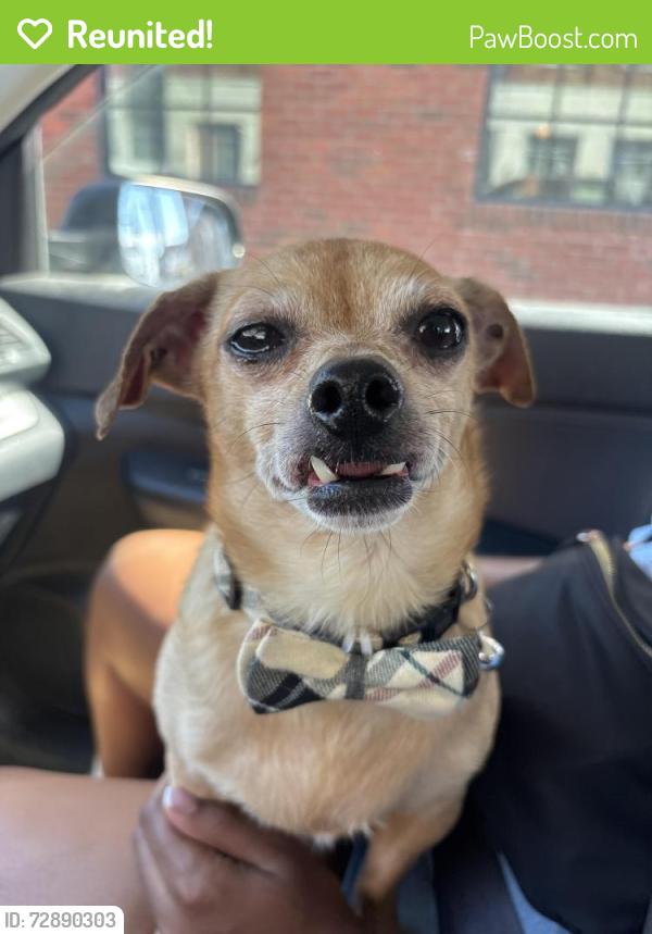 Reunited Male Dog last seen 16th & Oregon , Philadelphia, PA 19145