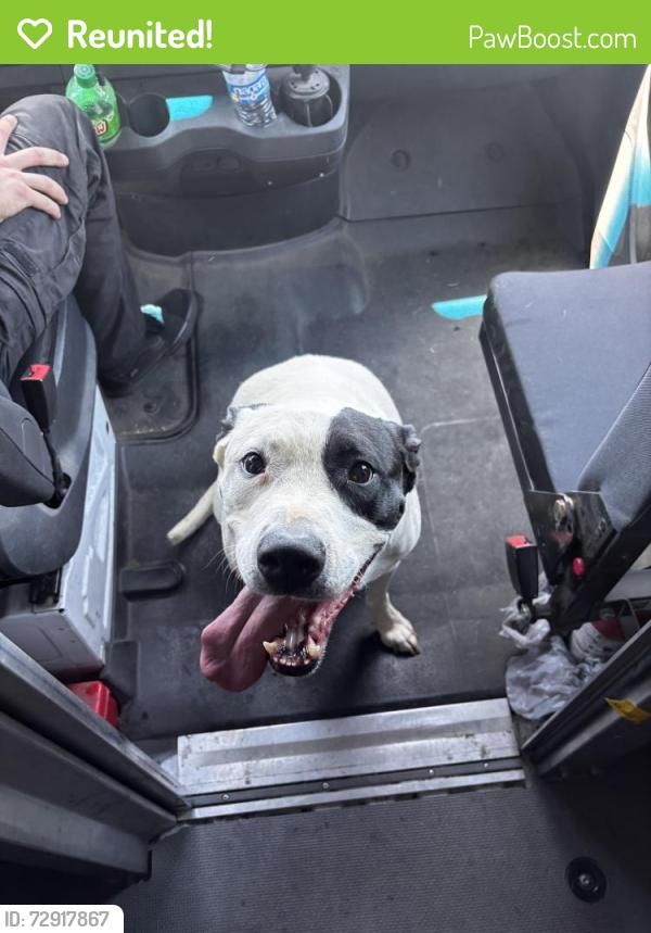 Reunited Male Dog last seen S 33rd Pl Mesa AZ 85204 United States, Mesa, AZ 85204