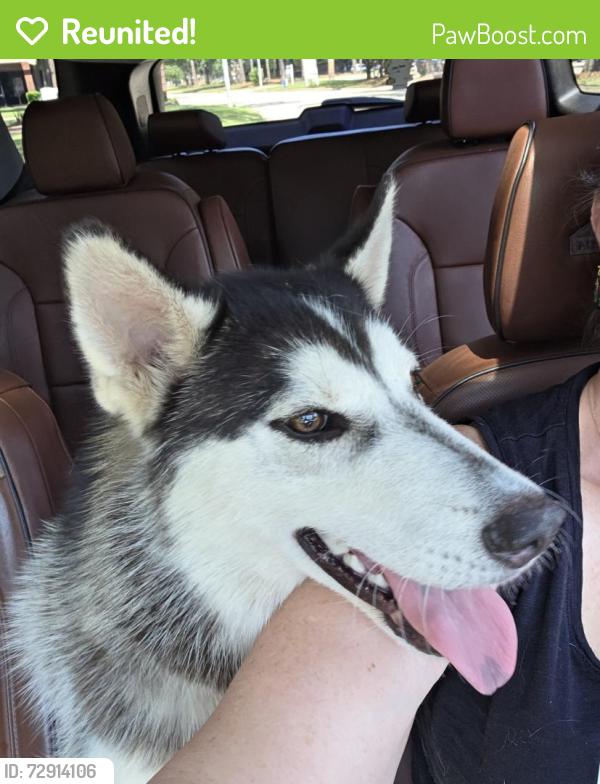 Reunited Male Dog last seen Walters & 1960, Houston, TX 77068