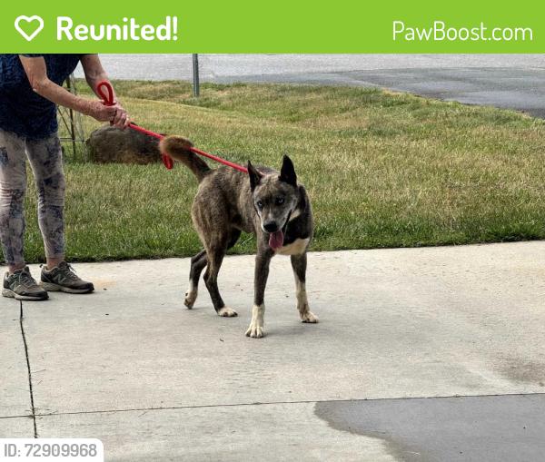 Reunited Male Dog last seen Stewart rd & Baxter Winston-salem , Winston-Salem, NC 27107