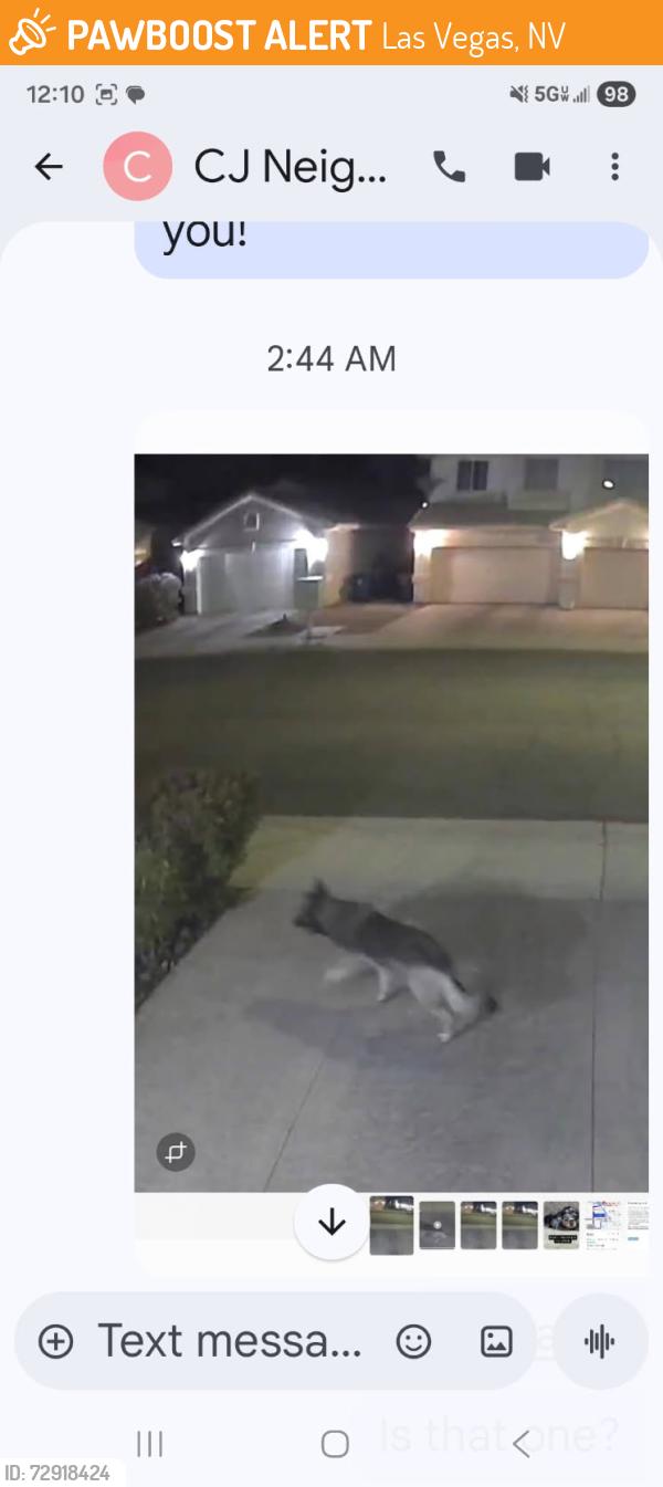 Found/Stray Unknown Dog last seen Warmbreeze and Gowan , Las Vegas, NV 89129