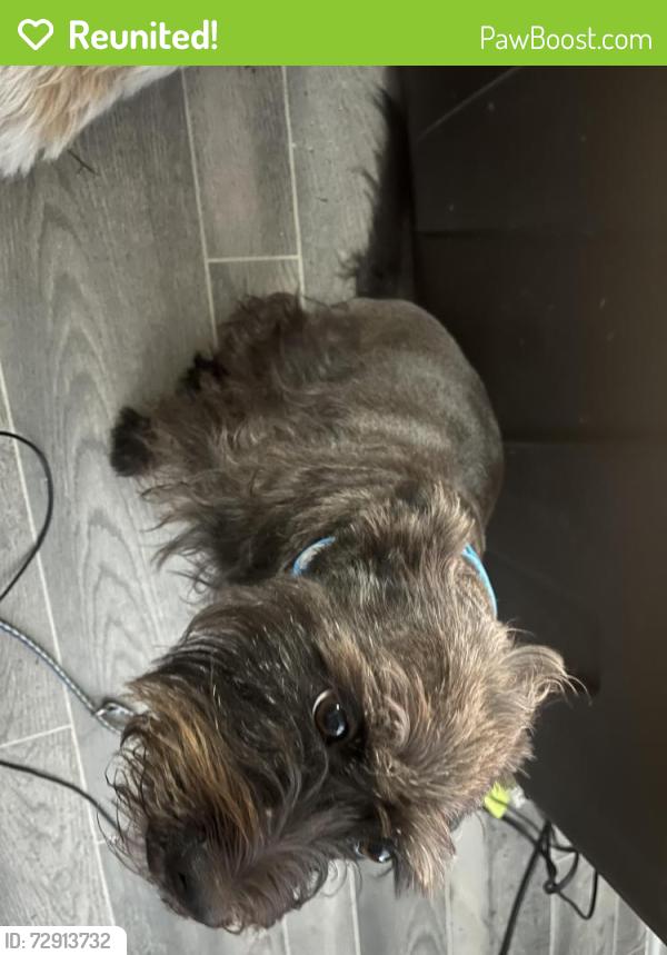 Reunited Female Dog last seen Near n business interstate, New Braunfels, TX 78130