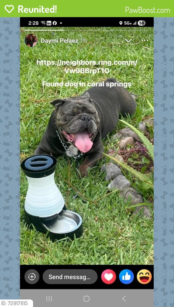 Reunited Male Dog last seen Nw 83rd Ave and off 14 st, Coral Springs, FL 33065