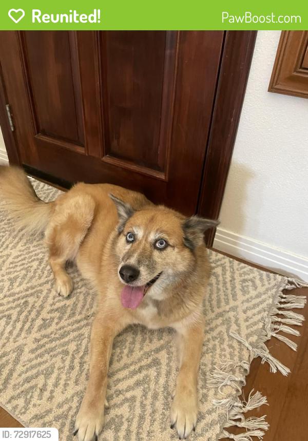 Reunited Female Dog last seen Explorer Park, Chula Vista, CA 91910