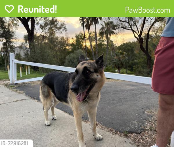 Reunited Male Dog last seen Park Place Canyon, Encinitas, CA 92007