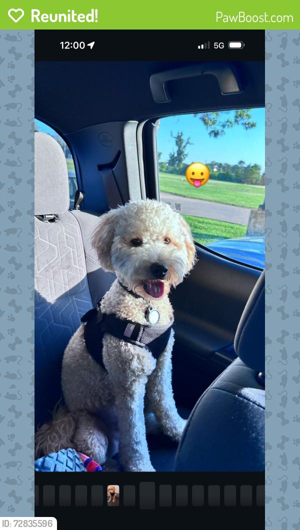 Reunited Male Dog last seen Chipotle, Arlington, VA 22204