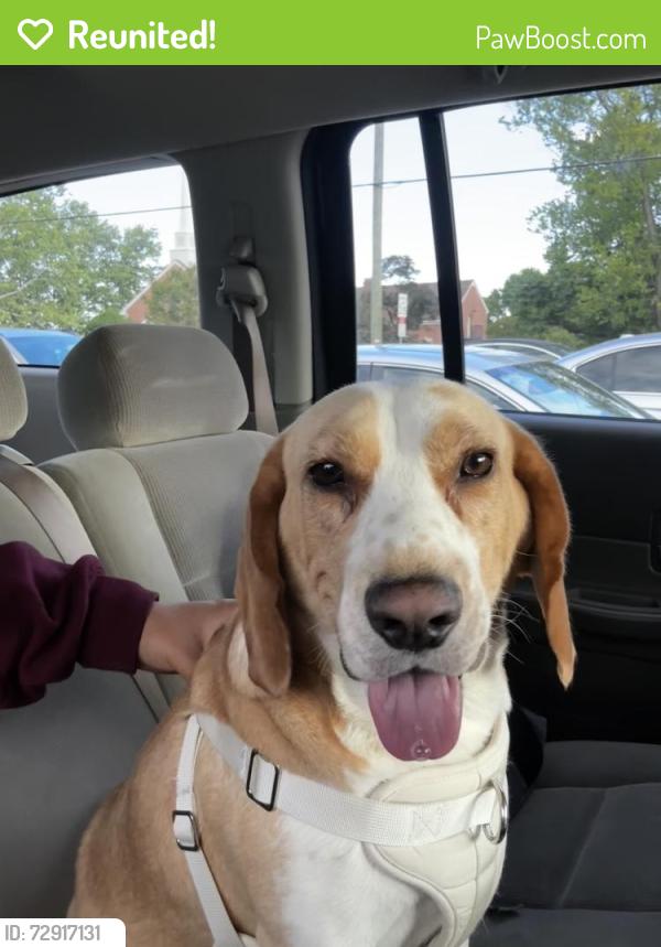 Reunited Male Dog last seen Near Commons Dr , Annandale, VA 22003
