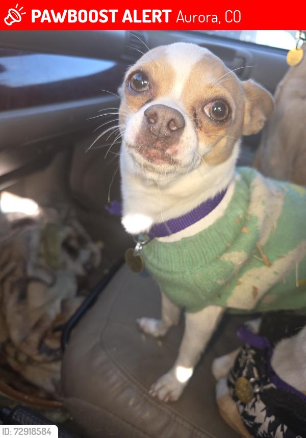 Lost Male Dog last seen Near E BROWN AVE AURORA CO 80013, Aurora, CO 80013