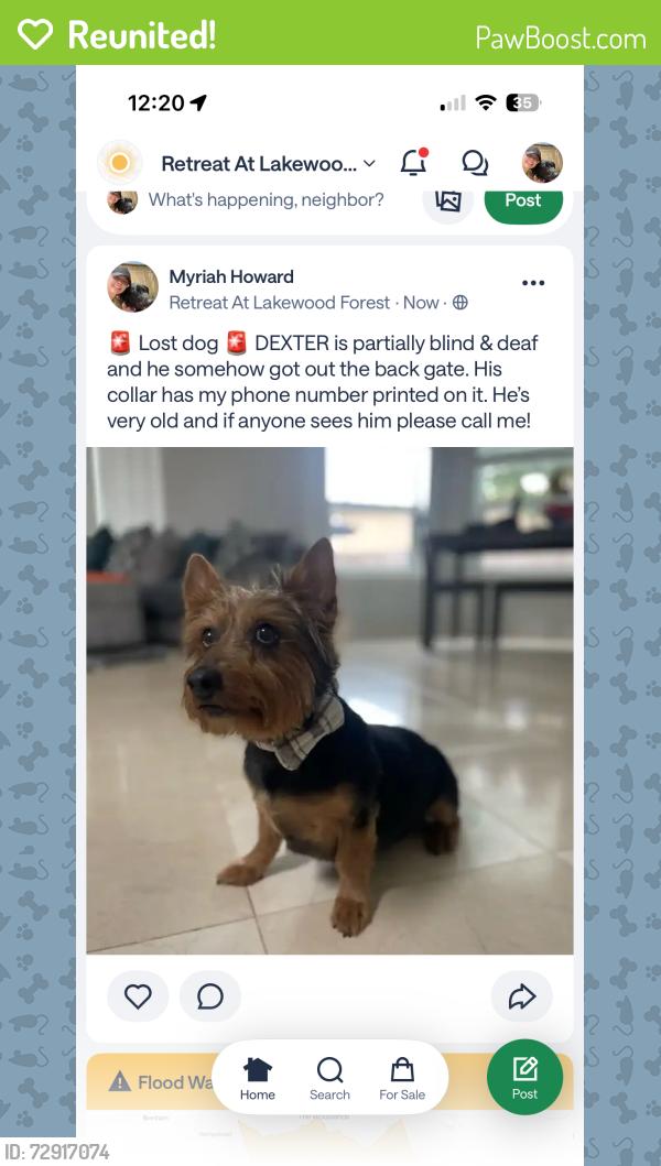 Reunited Male Dog last seen N Eldridge pkwy & Guernsey , Tomball, TX 77377