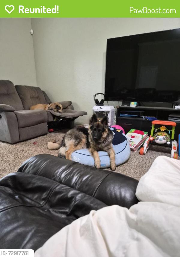 Reunited Male Dog last seen Near greenfield ave, yukon ok , Yukon, OK 73099