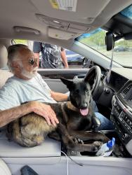 Reunited Male Dog last seen Near Avenue and 21st Street, Miami, Fl, Miami, FL 33142