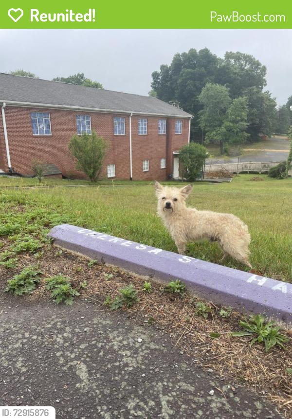 Reunited Male Dog last seen At Stockton and Barber near Main St. , Winston-Salem, NC 27127