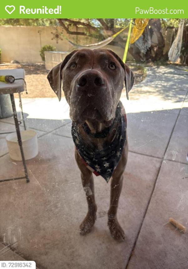 Reunited Male Dog last seen Tumbleweed CT, Hillcrest, Lone Tree Way, Antioch, CA 94531