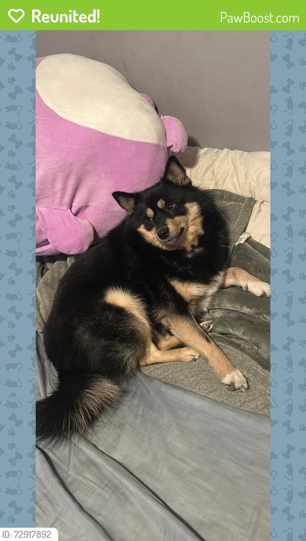 Reunited Male Dog last seen 25th and Harrison, Gary, IN 46407