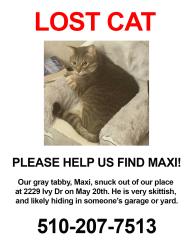 Reunited Male Cat last seen Ivy Drive and 23rd street , Oakland, CA 94606