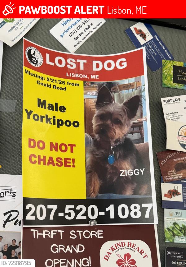 Lost Male Dog last seen Upland rd. Ridge rd. Rt. 9, Lisbon, ME 04252