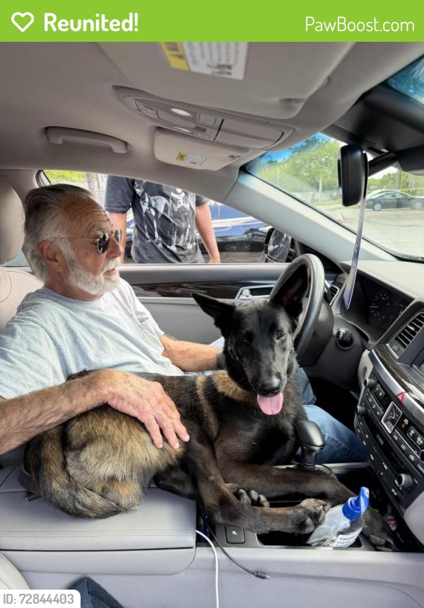 Reunited Male Dog last seen Near Avenue and 21st Street, Miami, Fl, Miami, FL 33142