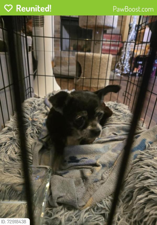 Reunited Unknown Dog last seen Bristol Park Edmond, OK 73013, Edmond, OK 73013