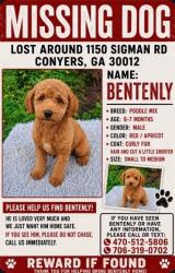 Reunited Male Dog last seen Near sigman rd ne and Hwy 20 , Conyers, GA 30012