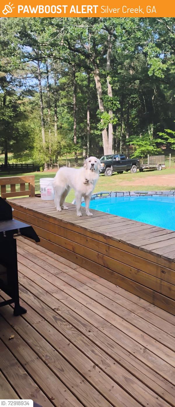 Found/Stray Unknown Dog last seen Wax rd, harmony , Silver Creek, GA 30173