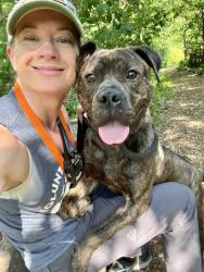 Shelter Stray Male Dog last seen Near 10th St Baltimore, 21225, MD, Baltimore, MD 21230