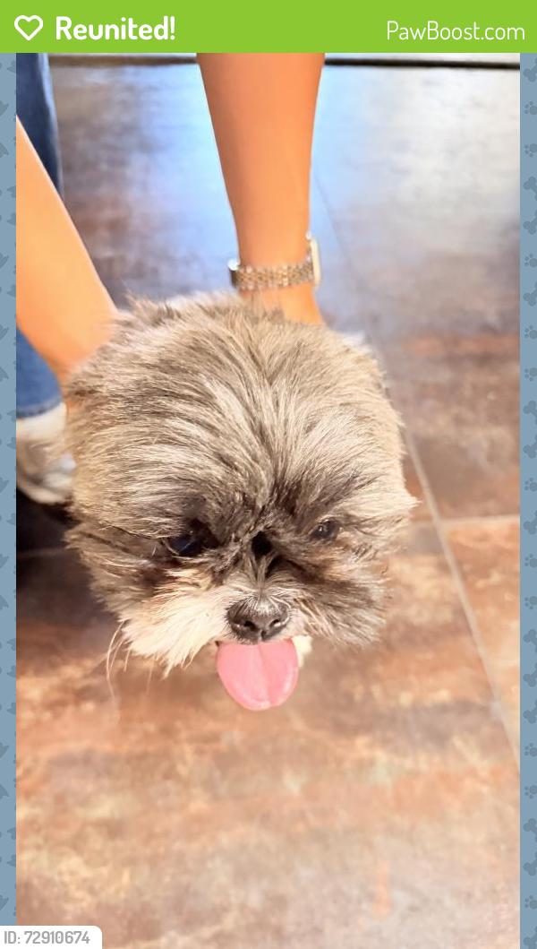 Reunited Female Dog last seen Western trail and coors , Albuquerque, NM 87120