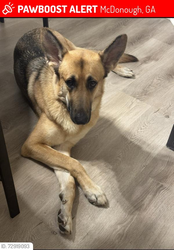 Lost Female Dog last seen Gleason Meadows, McDonough, GA 30252