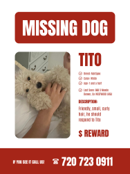 Reunited Male Dog last seen Meade Street, Denver, CO 80204