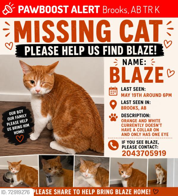 Lost Male Cat last seen Last Seen At: 248 16 St E, Brooks, AB T1R 1K4, Brooks, AB T1R 1K4