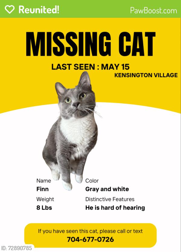 Reunited Male Cat last seen N Cromwell dr, Mooresville, NC 28115