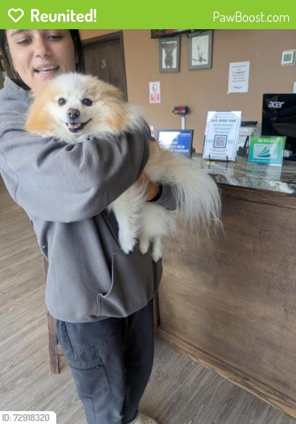 Reunited Male Dog last seen N Berkeley Lake Rd NW, Duluth, Gwinnett County, GA, US, 30096. , Duluth, GA 30096