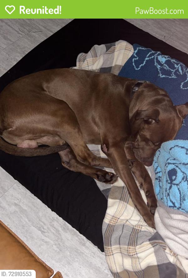 Reunited Male Dog last seen Marathon gas station , Fort McCoy, FL 32134