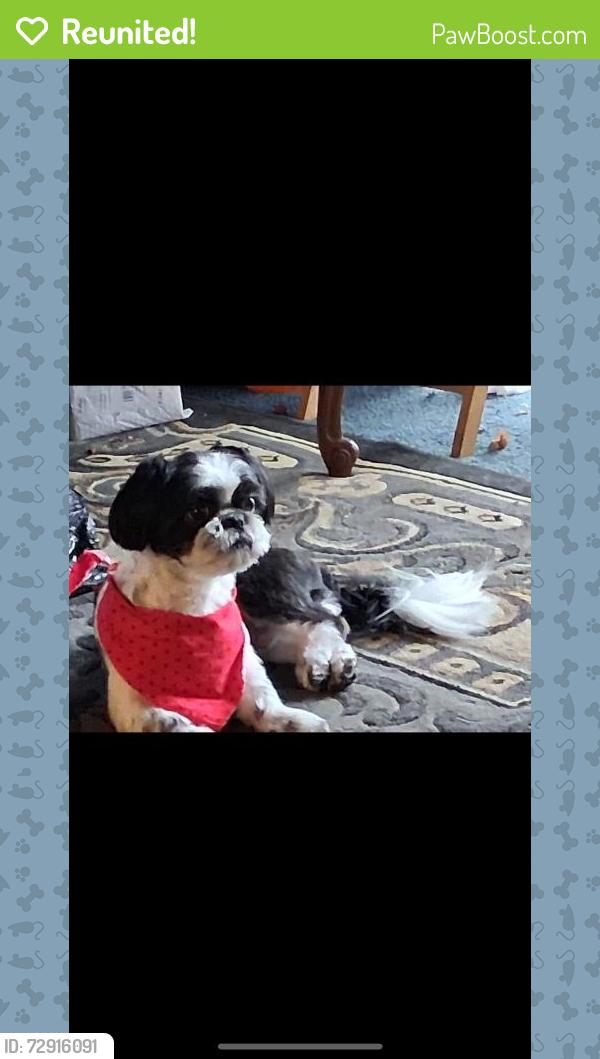 Reunited Male Dog last seen Near Parnell Ave, San Antonio, TX 78224, USA, San Antonio, TX 78224