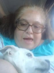 Reunited Female Dog last seen Barranca and Chaucer , San Antonio, TX 78221