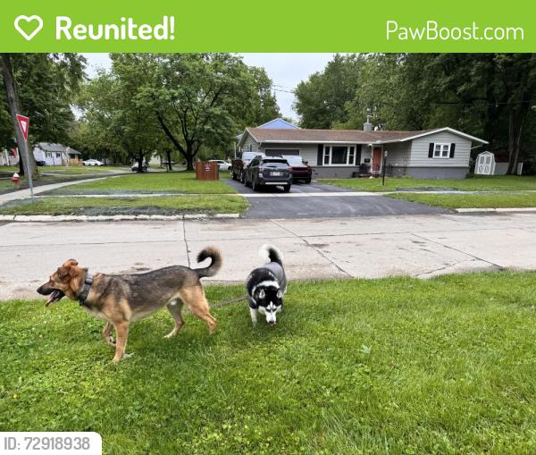 Reunited Unknown Dog last seen Orchard Hills & Foxcroft, Toledo, OH 43615
