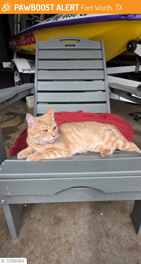 Found/Stray Male Cat last seen Keller haslet, Fort Worth, TX 76244