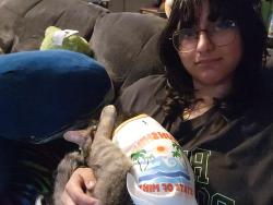 Reunited Unknown Cat last seen BP Gas Station, Berkeley, IL 60163