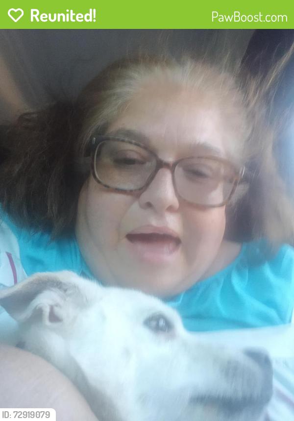 Reunited Female Dog last seen Barranca and Chaucer , San Antonio, TX 78221