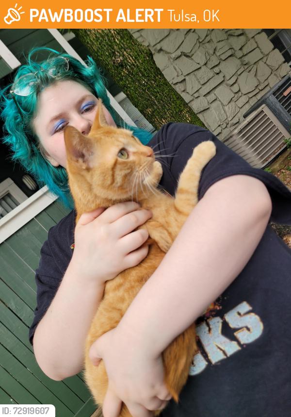 Found/Stray Male Cat last seen Silver creek apmts , Tulsa, OK 74146