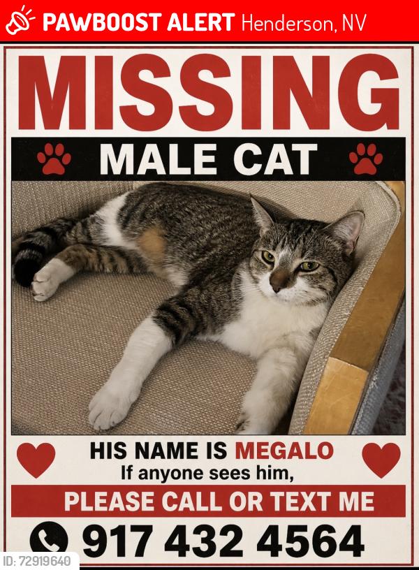 Lost Male Cat last seen Sunset cross valley verde , Henderson, NV 89014