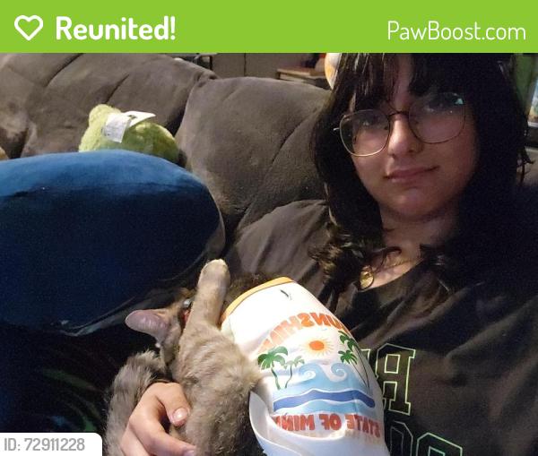 Reunited Unknown Cat last seen BP Gas Station, Berkeley, IL 60163