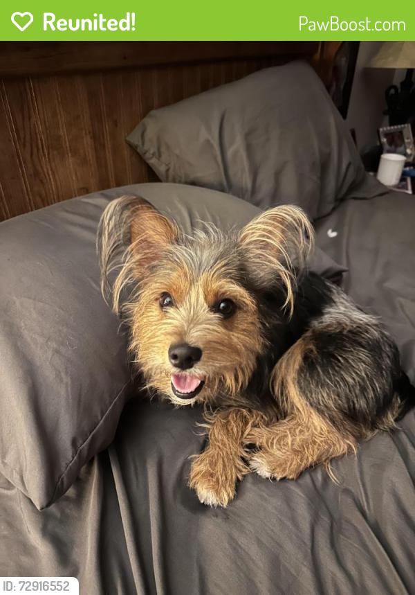 Reunited Male Dog last seen Mtn Creek and Dial Road, Blue Ridge, GA 30513