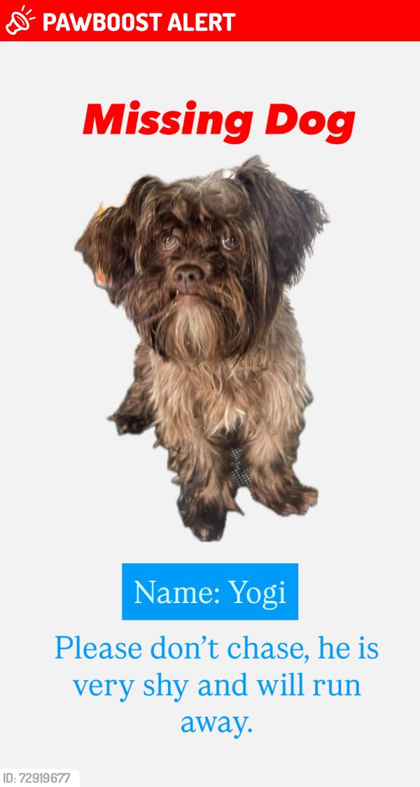 Lost Male Dog last seen Hillendale Way, Pelzer, Anderson County, SC 29669