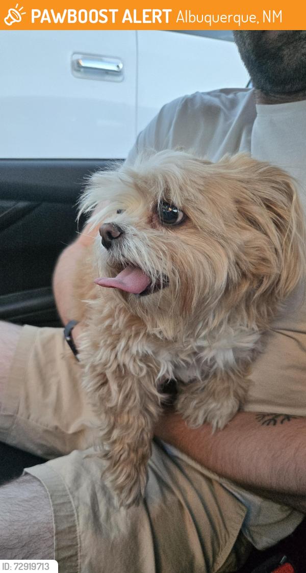 Found/Stray Female Dog last seen Unser and McMahon, Albuquerque, NM 87114