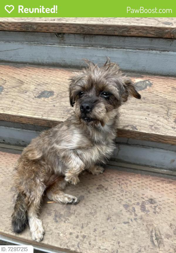 Reunited Male Dog last seen Linden st, Oakland, CA 94607