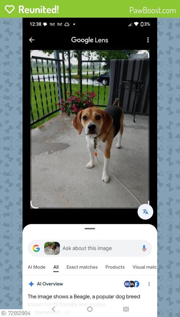 Reunited Female Dog last seen Live oak st, Mesquite, TX 75150